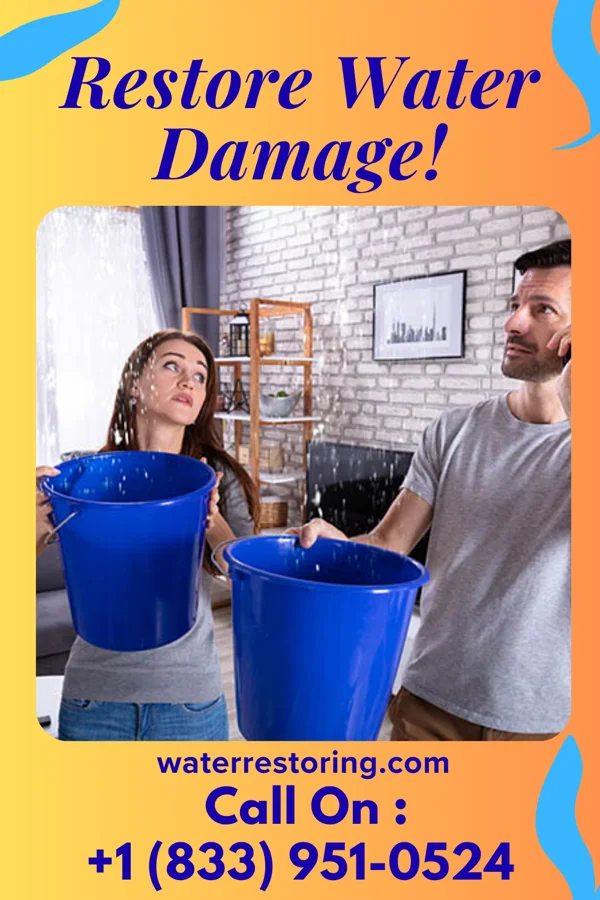 water restoration Capital Mitigation Professionals Milford