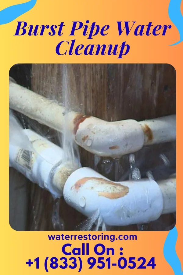 Burst Pipe Water Cleanup in Milford, OH