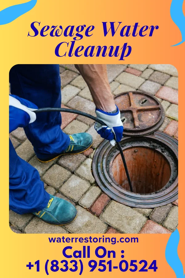 Sewage Water Cleanup in Milford, OH